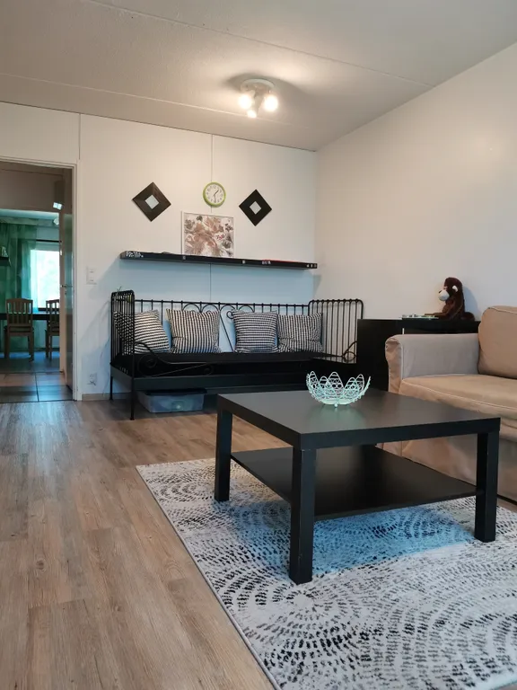 Scandinavian City Apartment