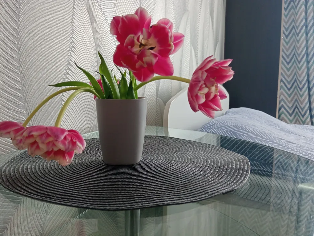 Квартира у Глобуса