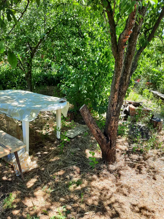 Домик на берегу Таганрогского залива