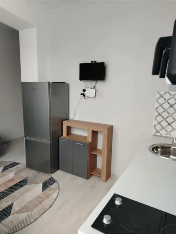 Солнечная квартира с французскими окнами и отдых на горной речке