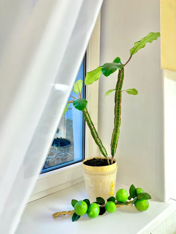 Квартира в историческом центре после реновации