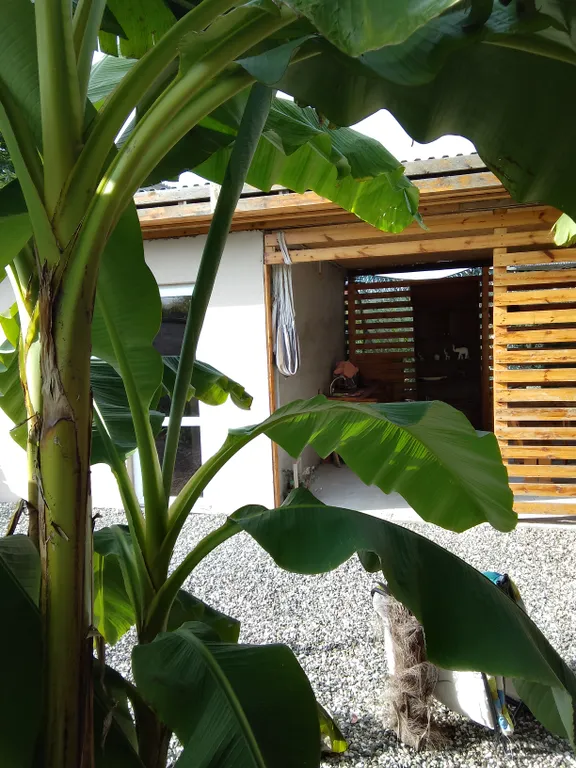 Коттедж Гостевой домик — Сухум