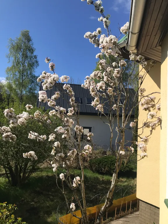 Прибрежный уголок для отдыха на природе