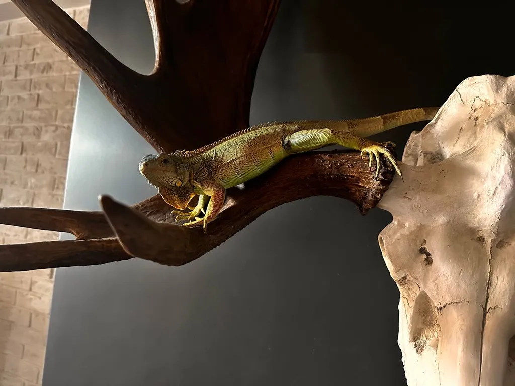 Уютная квартира в центре горнолыжного курорта