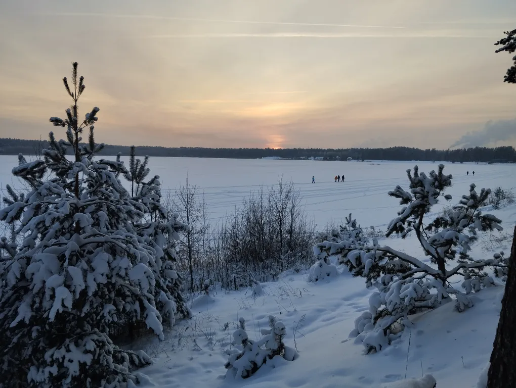 Дом в сосновом бору на озере