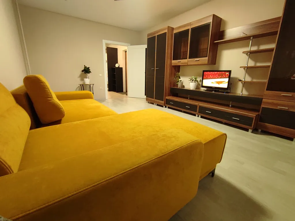 Просторная однокомнатная квартира