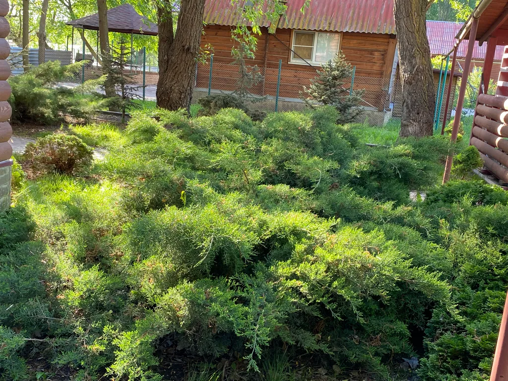 Дом на реке