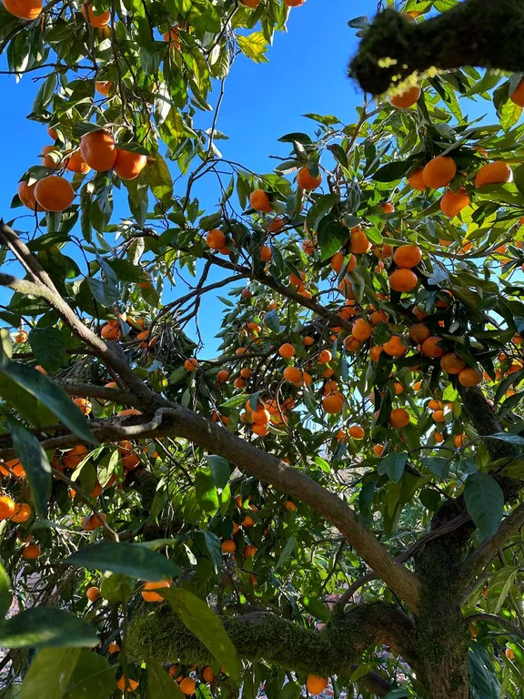 Большой двухэтажный дом с видом на горы