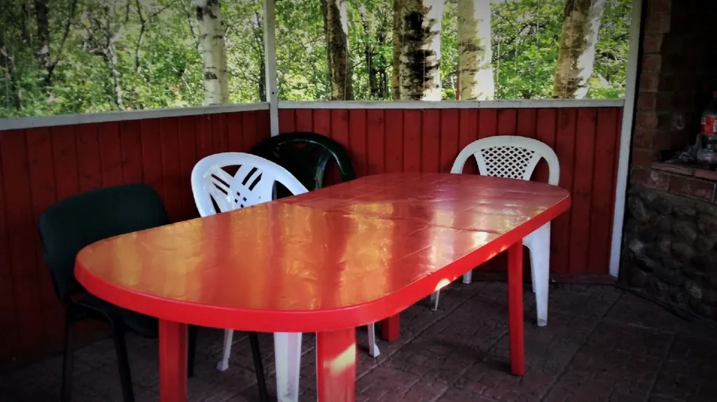 Коттедж Уютный коттедж с камином, баней и детской площадкой с батутом у озера — Завирье