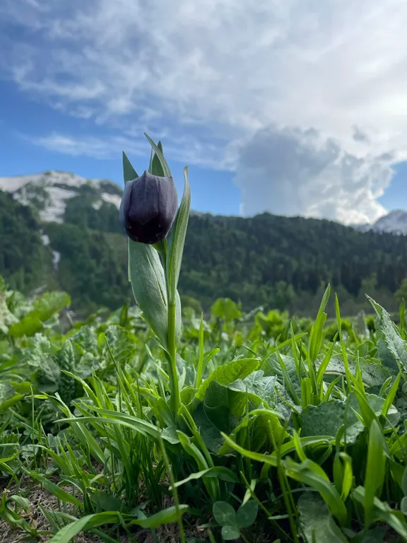 Маяк и море через дорогу