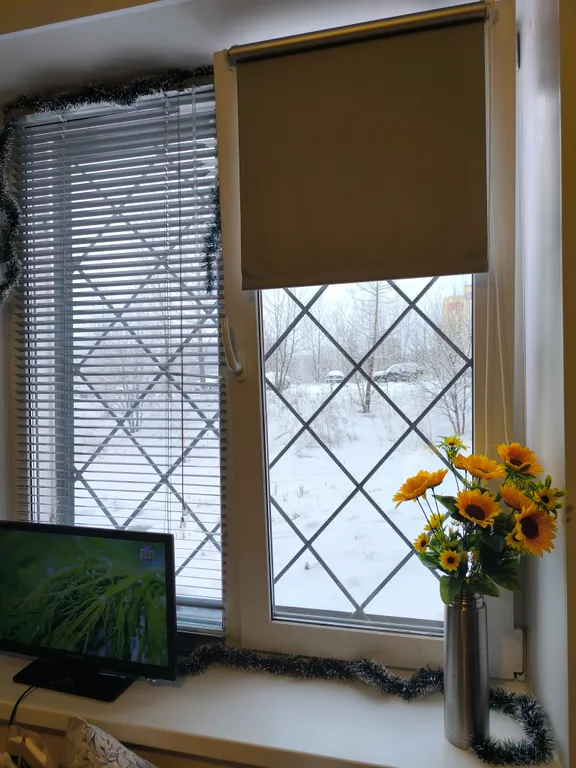 Квартира рядом с лыжной базой в Новоильинском районе