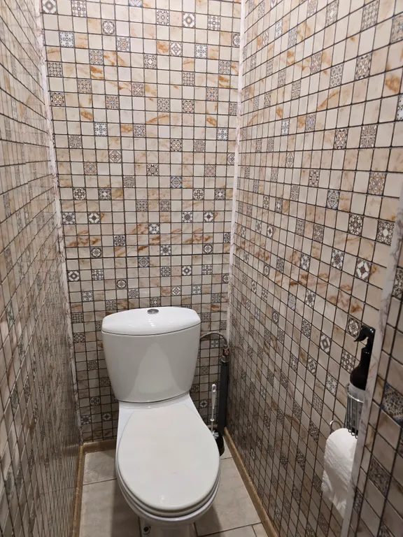 Уютный дом в центре Пушкинских Гор