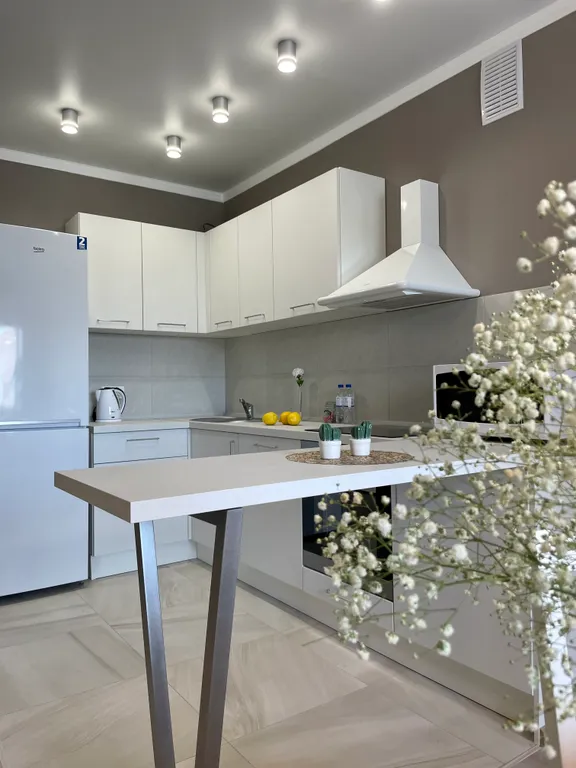 Квартира Апартаменты у Эспланады — аренда посуточно в Пермь