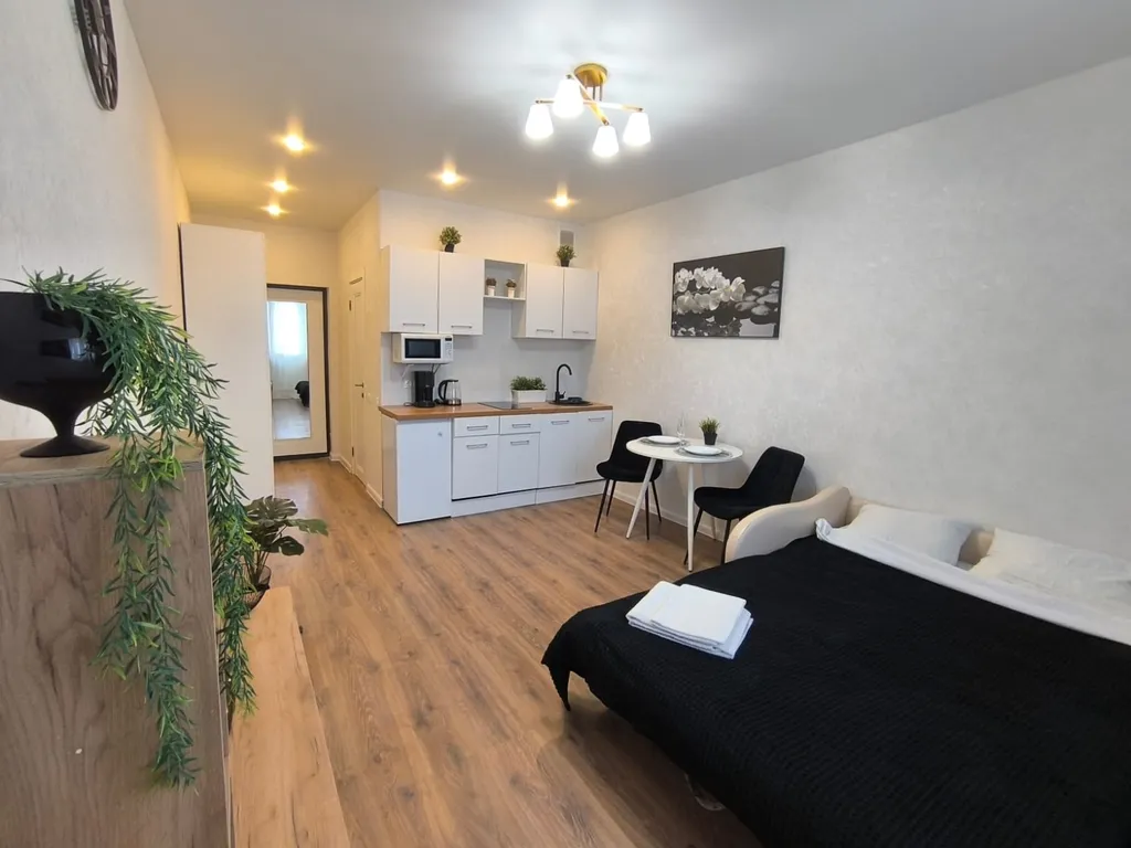 Квартира Отличная студия для вас — аренда посуточно в Андреевка