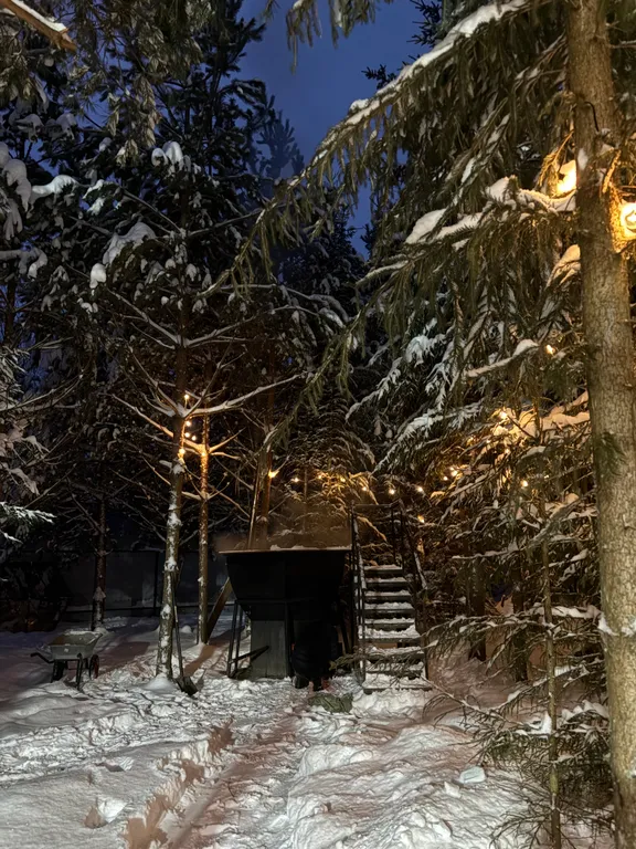 Дом с живописным участком