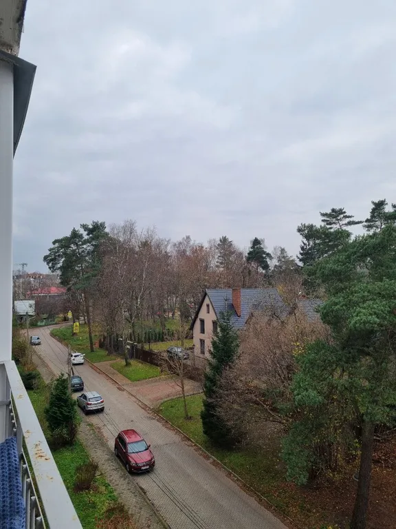 Квартира с видом на сосны