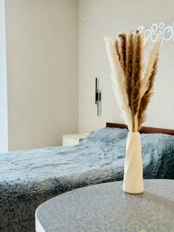 Новая студия на Московском