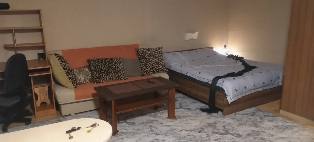 Квартира Уютная студия в центре с видом на стадион Донбасс-арена — аренда посуточно в Донецк