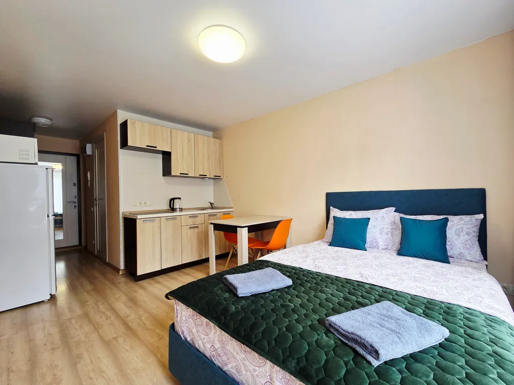 Квартира Квартира Уютная студия с видом на парк Лосиный остров — Москва