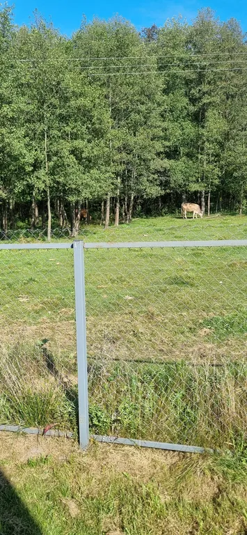 Дом-шалаш с видом на лес