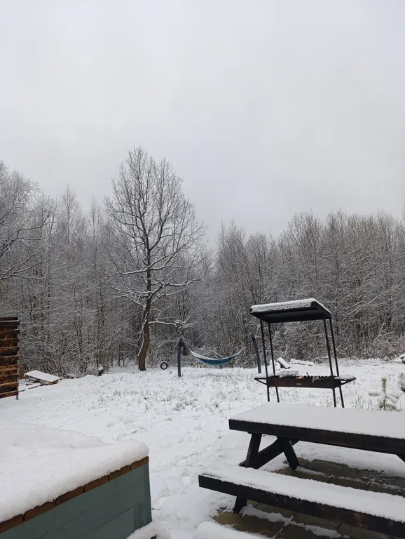 A-frame дом с видом на лес