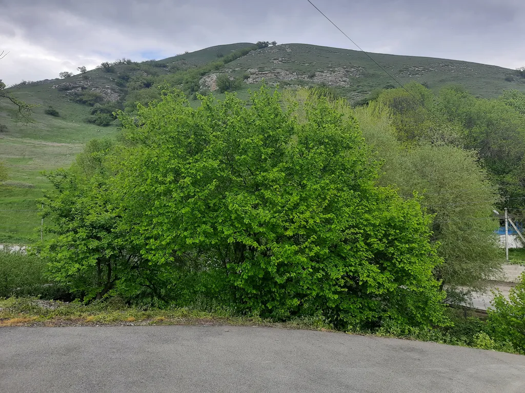 Коттедж Уютный загородный дом в пригороде Пятигорска (Юца) — Пятигорск