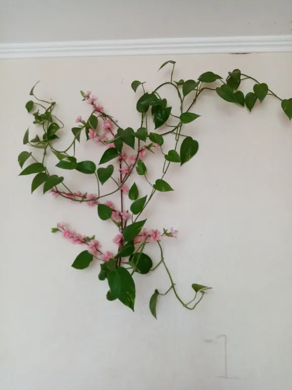 Уютная студия для гостей