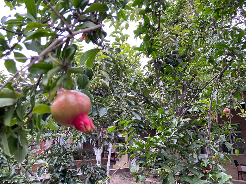 Коттедж Домик на берегу моря — Дербент