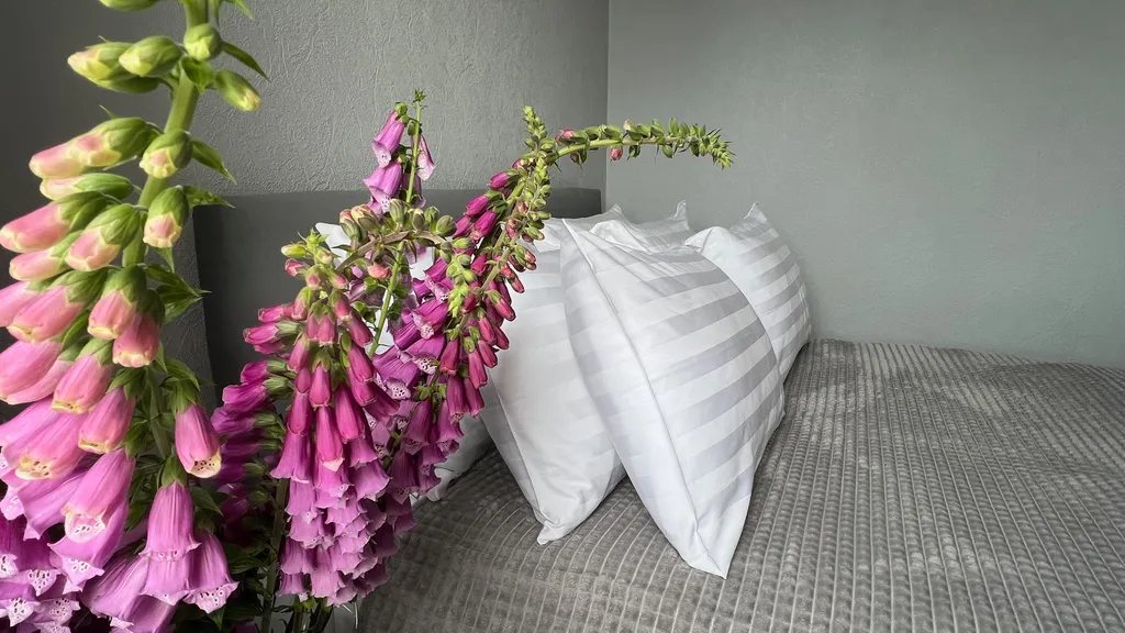 Апартамент с видом на Замок