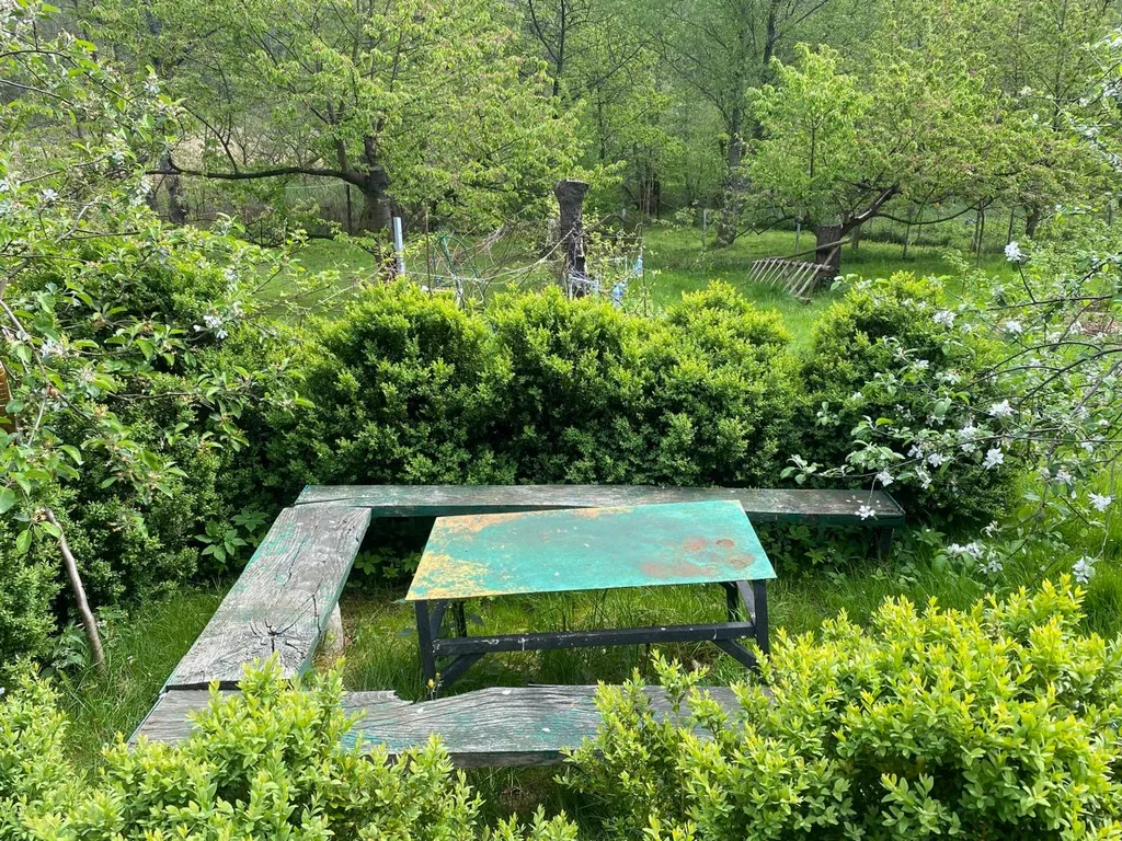 Квартира Комната — Светлогорск