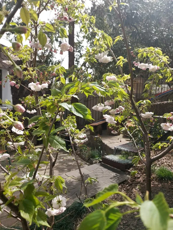 Квартира Уютные апартаменты в Сочи, недалеко от Зимнего театра и ждвокзала Сочи — Сочи