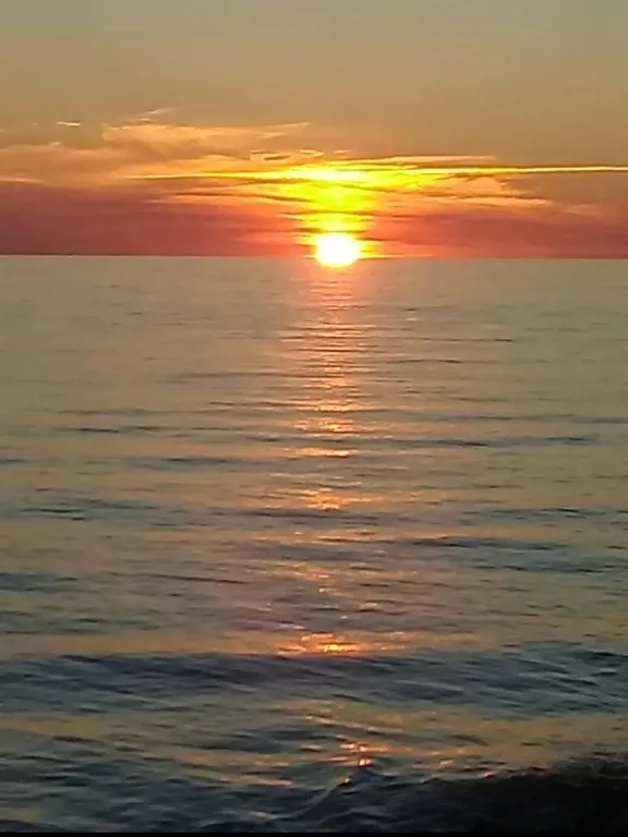 Квартира Светлая уютная квартира с новым современным ремонтом — Пионерский