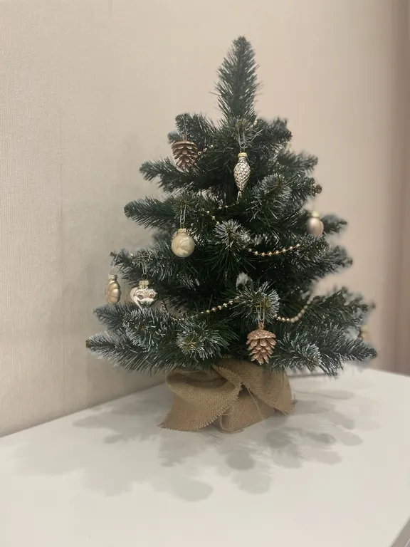 Квартира в центре с видом на реку