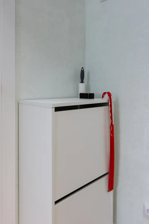 Просторная светлая квартира