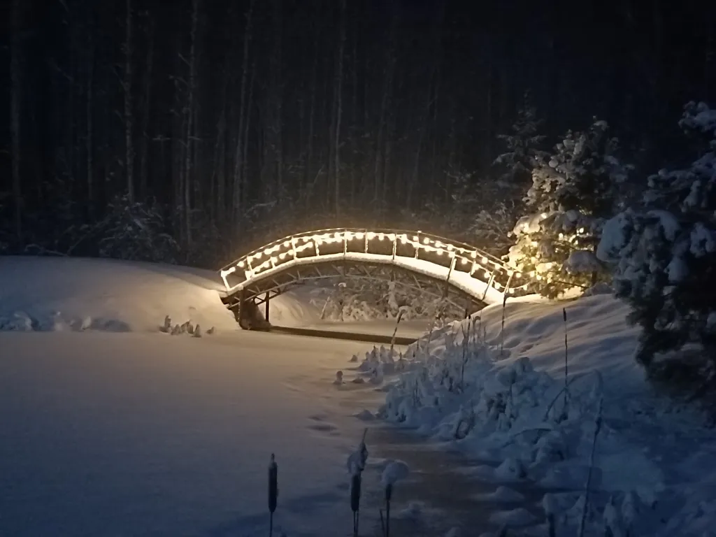 Дом у пруда