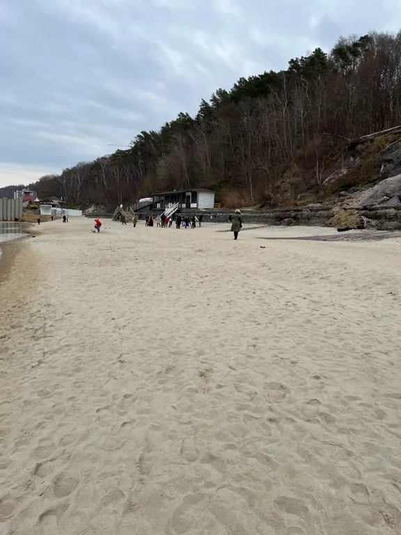 Студия у озера Тихое