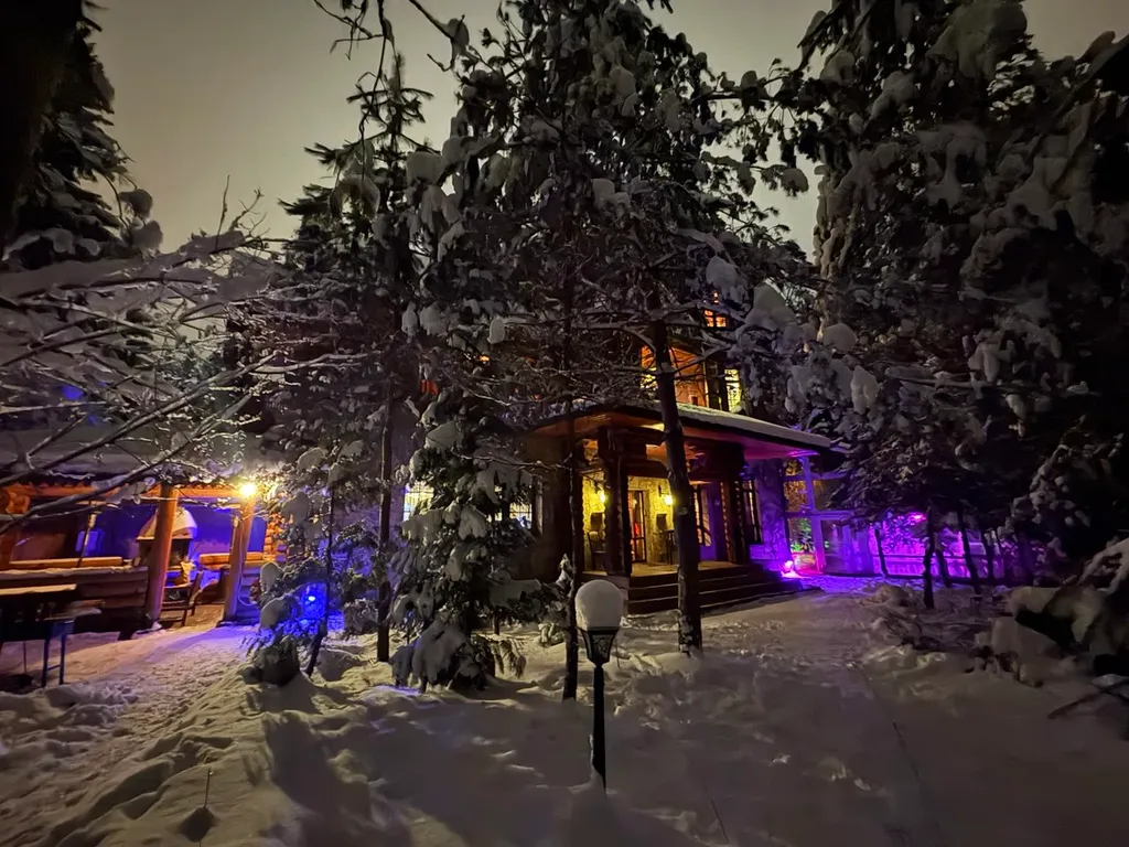 Коттедж Дом с тропическим бассейном, сауной и каминами — Московский