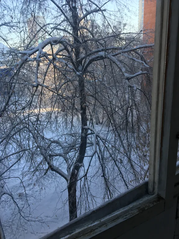 Квартира на центральном рынке