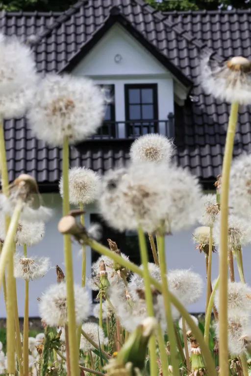 Загородная усадьба