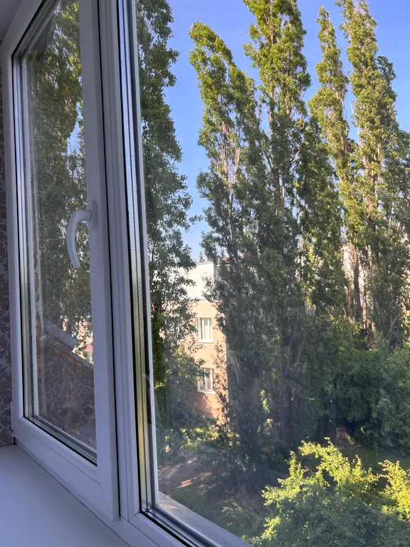 Квартира Уютная квартира в хорошем районе — Зеленоградск