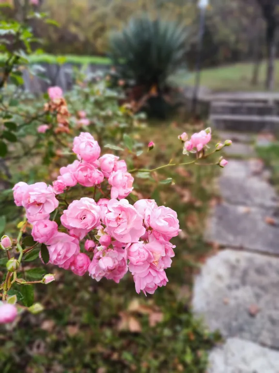 Коттедж Коттедж Эко -дача на море — Пляхо