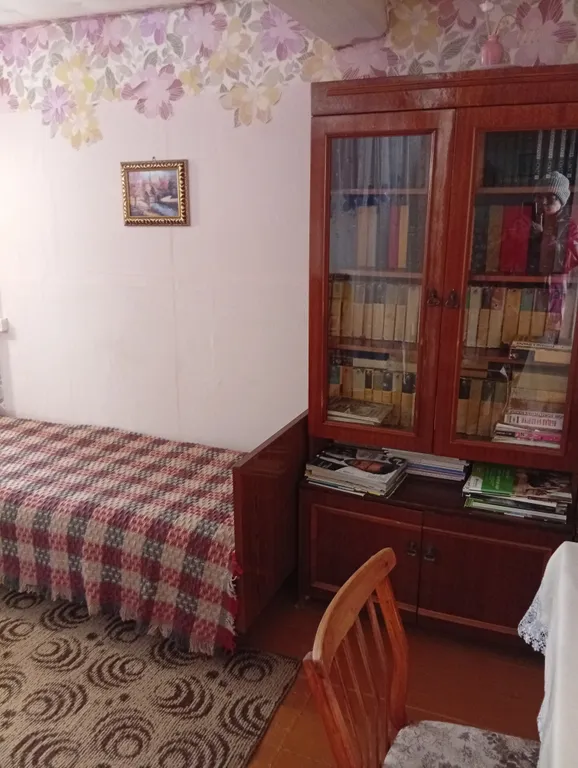 Карельский дом на берегу  озера.