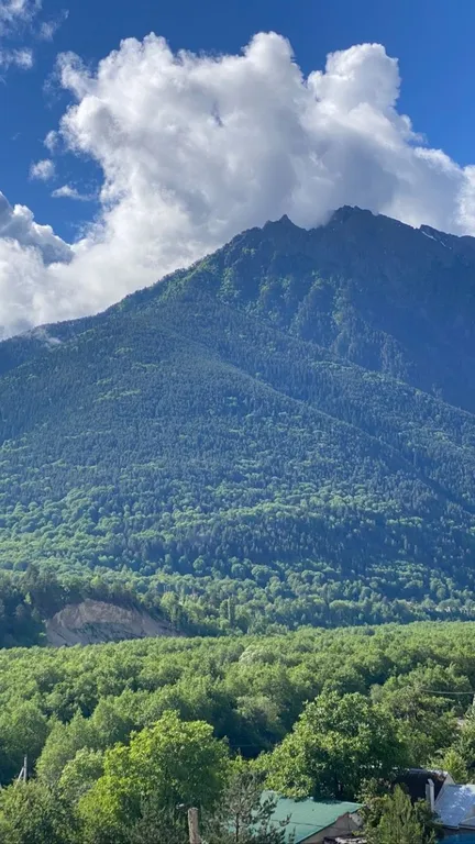 Уютная квартира с лучшим видом на горы и экскурсиями