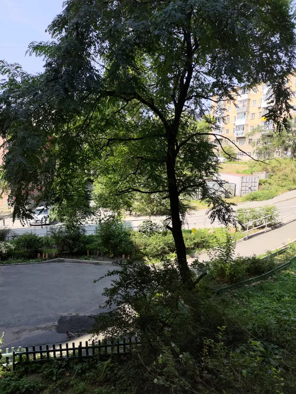 Квартира Уютная квартира недалеко от центра города — Владивосток