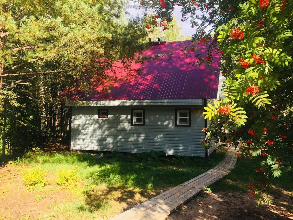 Домик с банькой у леса