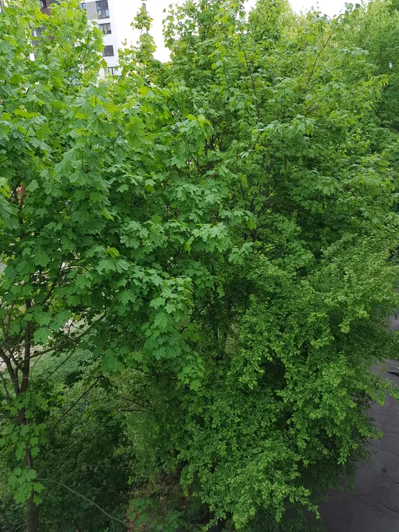 Квартира Уютная квартира в центре у Северного вокзала и Площади Победы — Калининград
