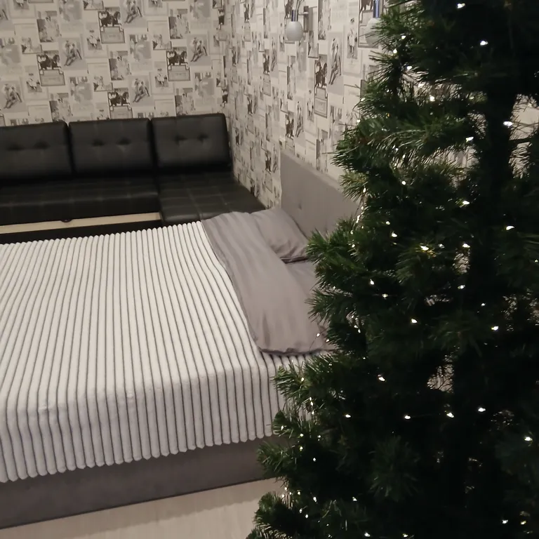 Уютная студия в центре города со стильным ремонтом