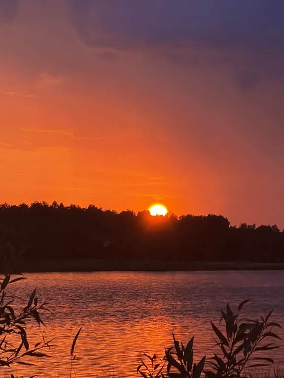 Коттедж Уютный домик в 10 минутах езды от водохранилища — Можайск