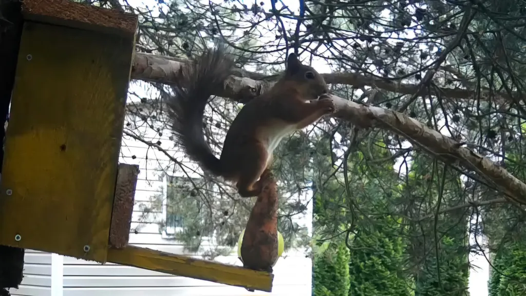 Уютный дом с баней