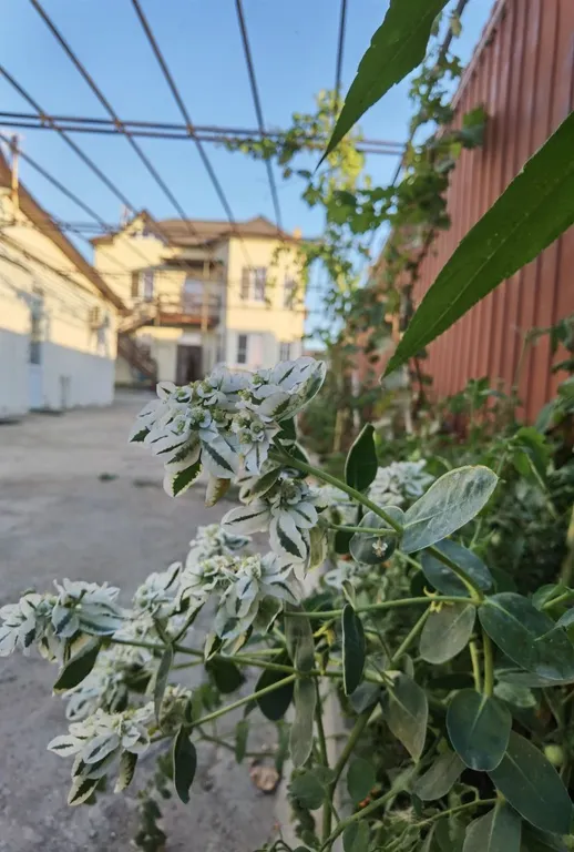 Уютная комната в частном доме у моря, удобства в номере